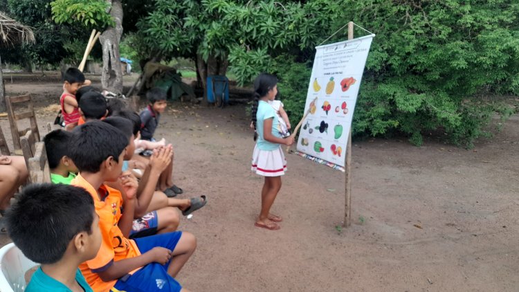 NIDO LINGÜÍSTICO EN LA COMUNIDAD LA ALTAGRACIA - ILC BAURE