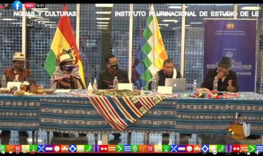 Instituto Plurinacional de Estudio de Lenguas y Culturas