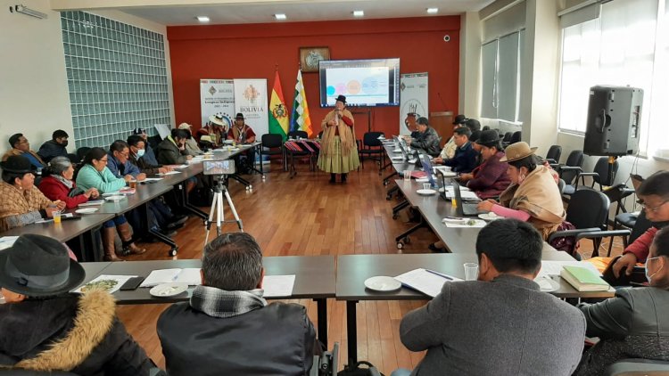 Taller de socialización del plan de desarrollo de la Lengua Aymara y actualización de Currículo Regionalizado Aymara.
