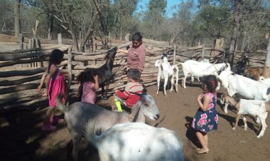 TRANSMISION INTERGENERACIONAL DE LA LENGUA TAPIETE A NIÑOS/A TAPIETES