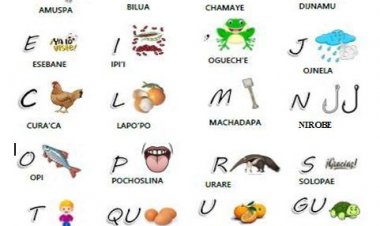 NACIÓN ITONAMA INAUGURA TALLER VIRTUAL DE SOCIALIZACIÓN Y APROBACIÓN DE VOCABULARIO ITONAMA