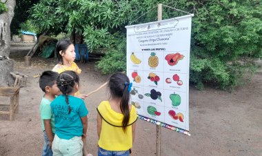 NIDO LINGÜÍSTICO EN LA COMUNIDAD LA ALTAGRACIA - ILC BAURE