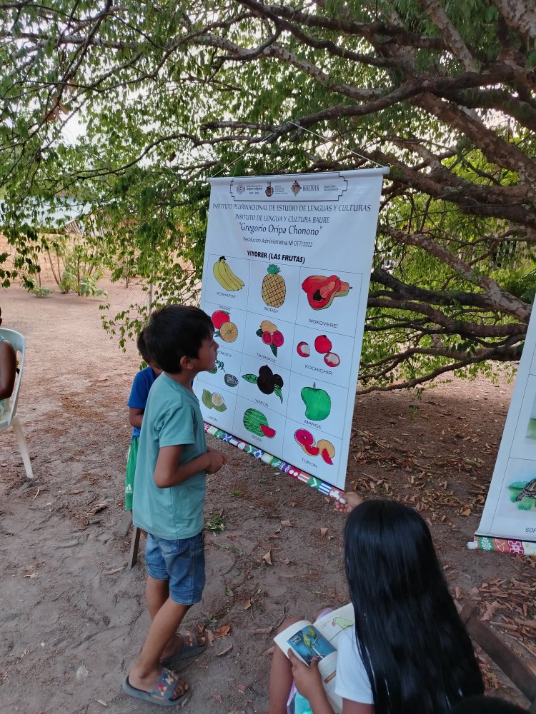 ILC BAURE REALIZA LA REACTIVACION DE LOS NIDOS EN LA COMUNIDAD DE ALTAGRACIA