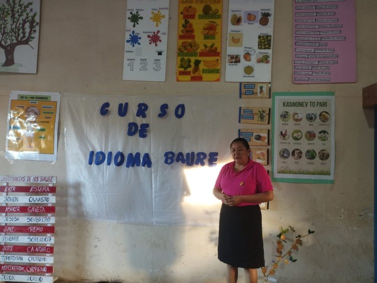 IPELC - ILC BAURE, CURSO EN LENGUA ORIGINARIA BAURE  NIVEL BÁSICO 2025